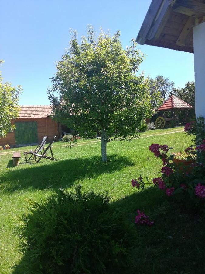 Camp Viljamovka Apartamento Kremna Exterior foto