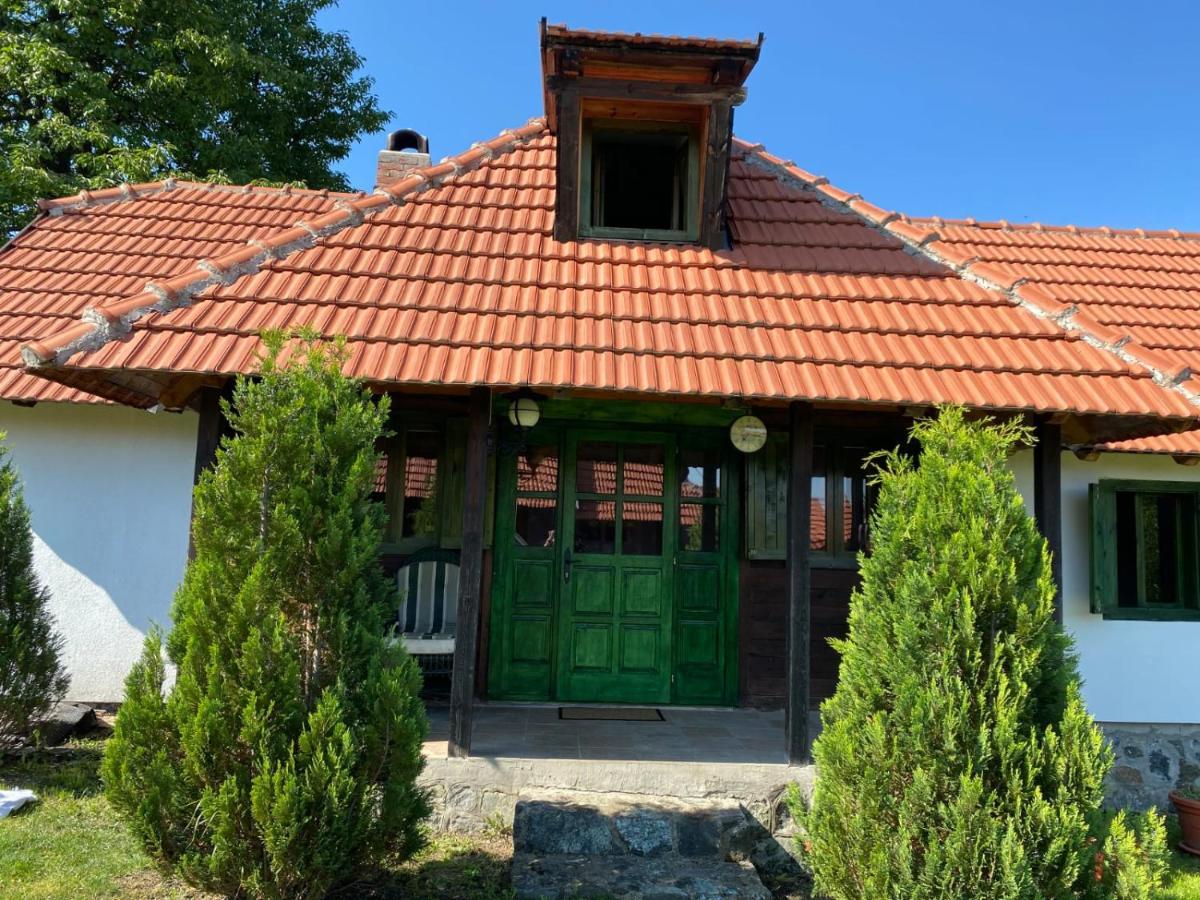 Camp Viljamovka Apartamento Kremna Exterior foto
