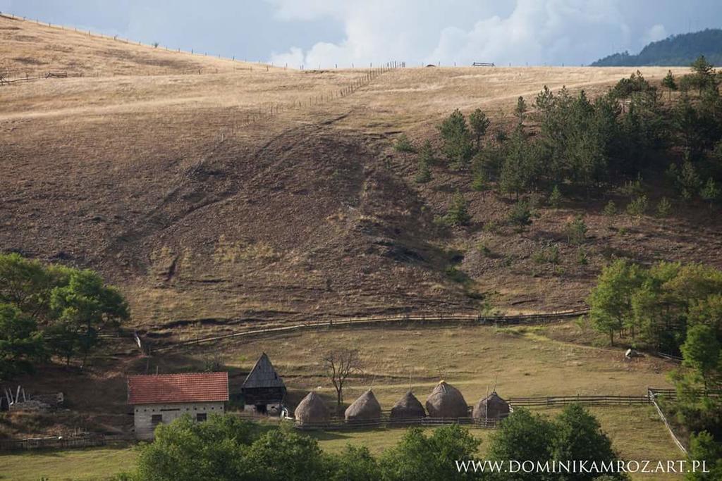 Camp Viljamovka Apartamento Kremna Exterior foto