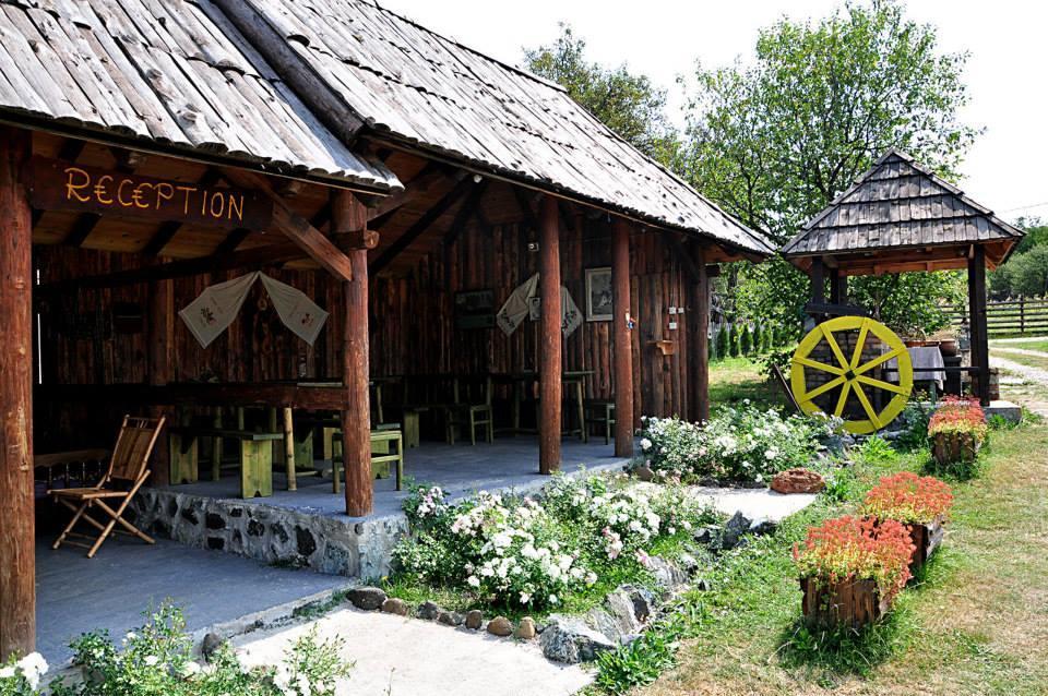 Camp Viljamovka Apartamento Kremna Exterior foto