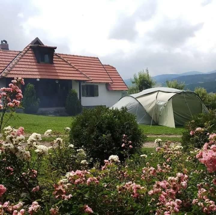 Camp Viljamovka Apartamento Kremna Exterior foto